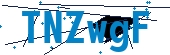 recaptcha