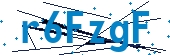 recaptcha