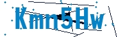 recaptcha