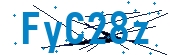 recaptcha